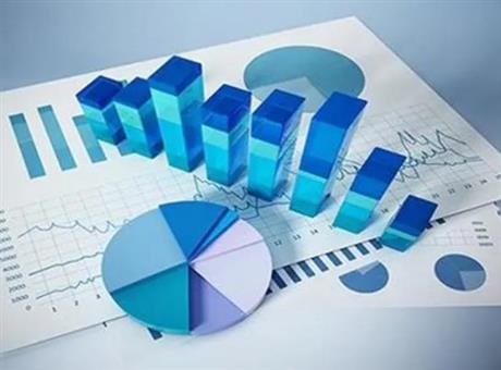 企业内部改制评估